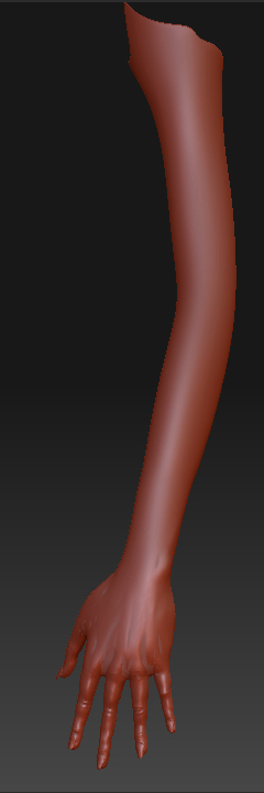 arm_1.jpg