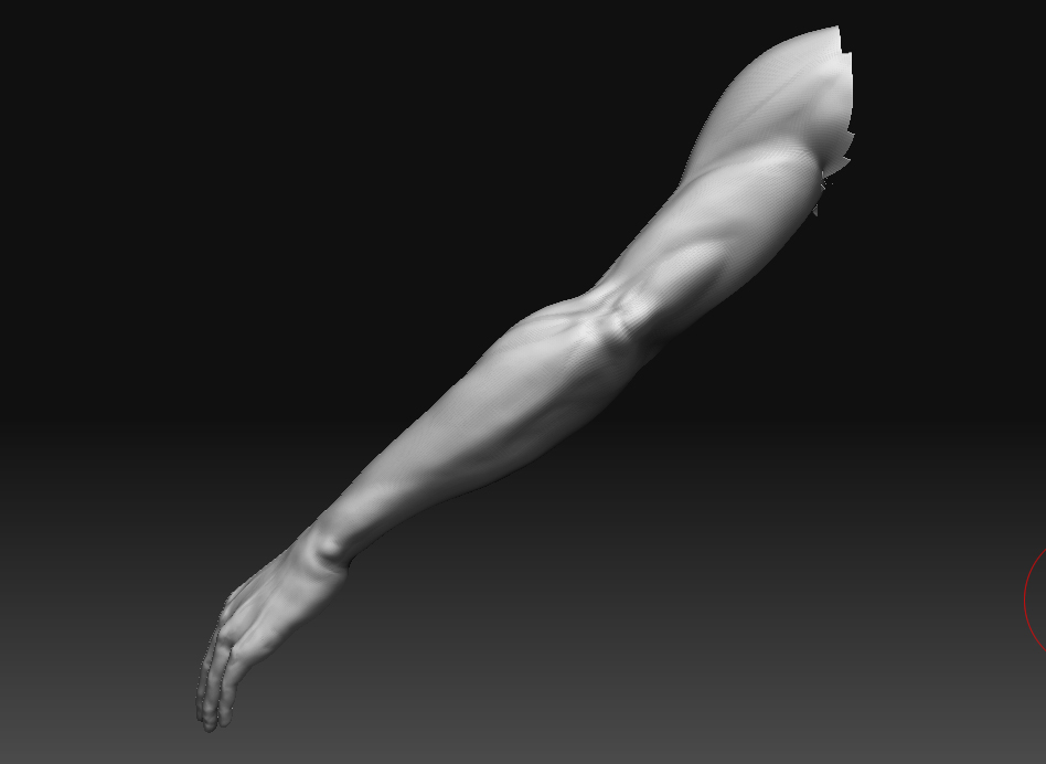 arm back.jpg