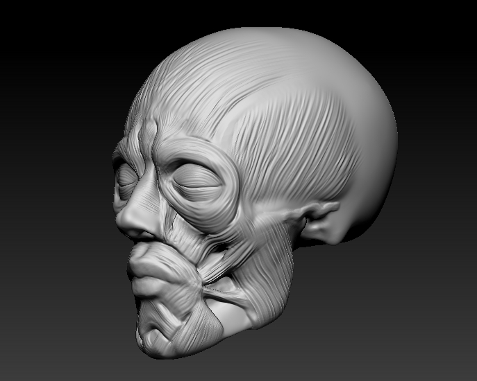 ZBrush Document2