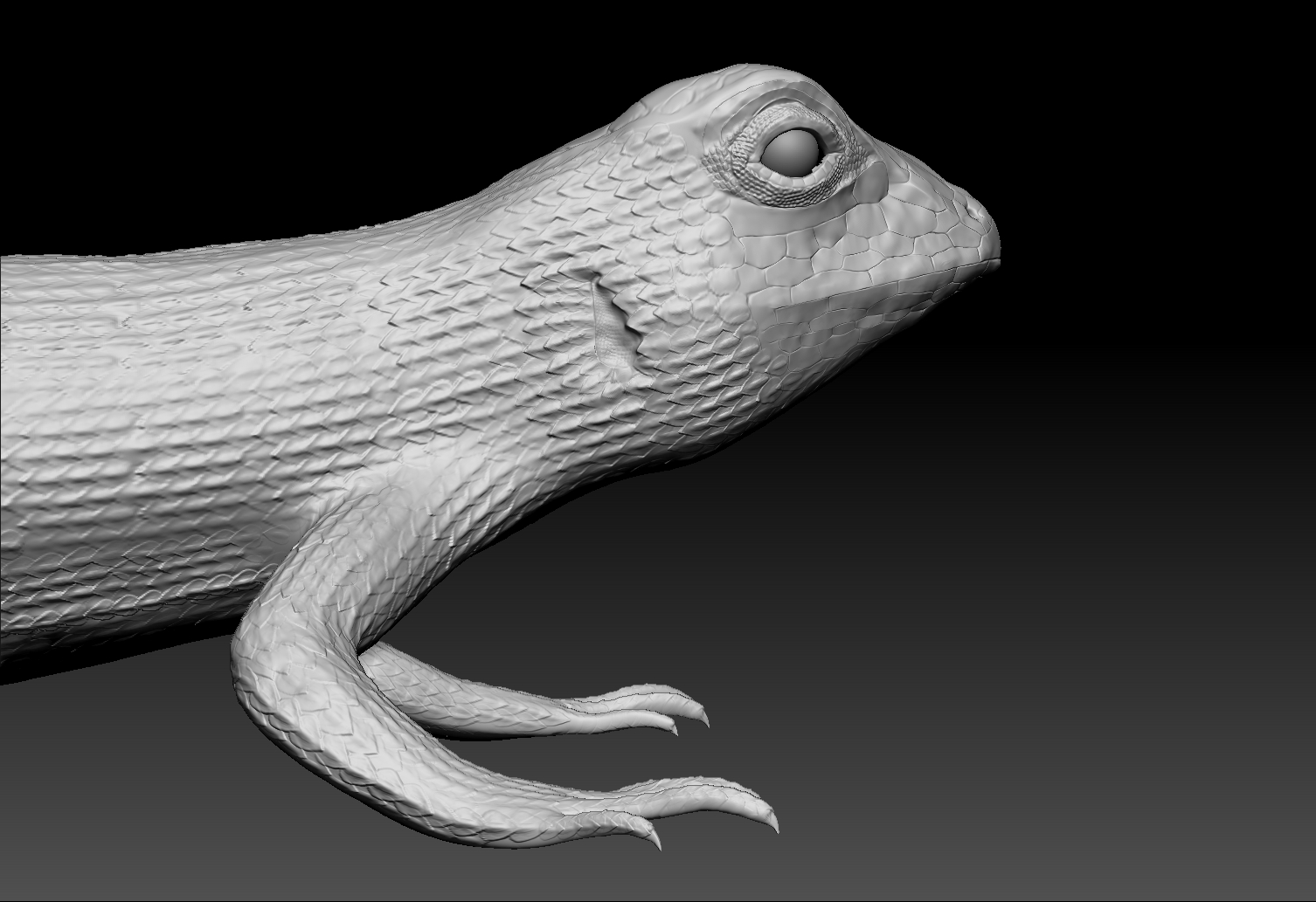 lizard zbrush