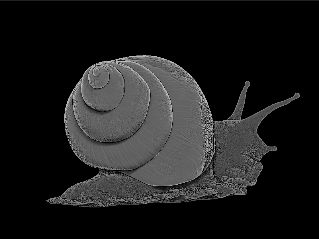 Snail_render_4.jpg