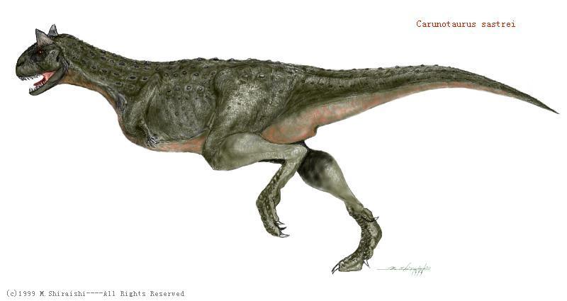Carnotaurus.jpg