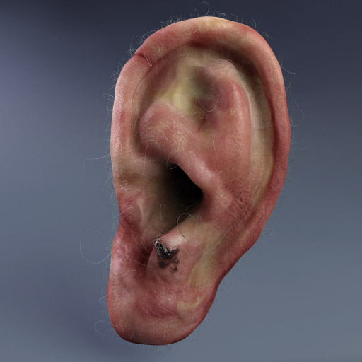ear.jpg