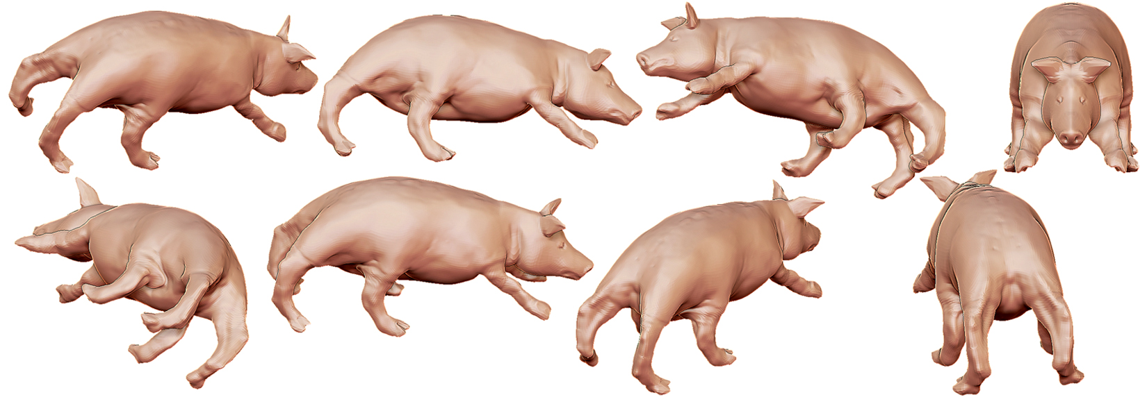 pig s.jpg
