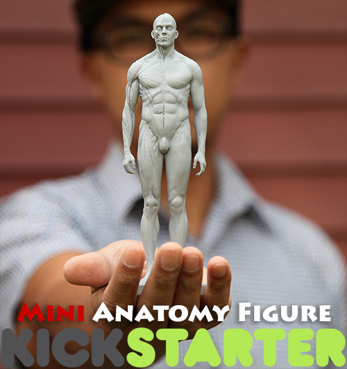MiniAnatomyFigureKickstarter001.jpg