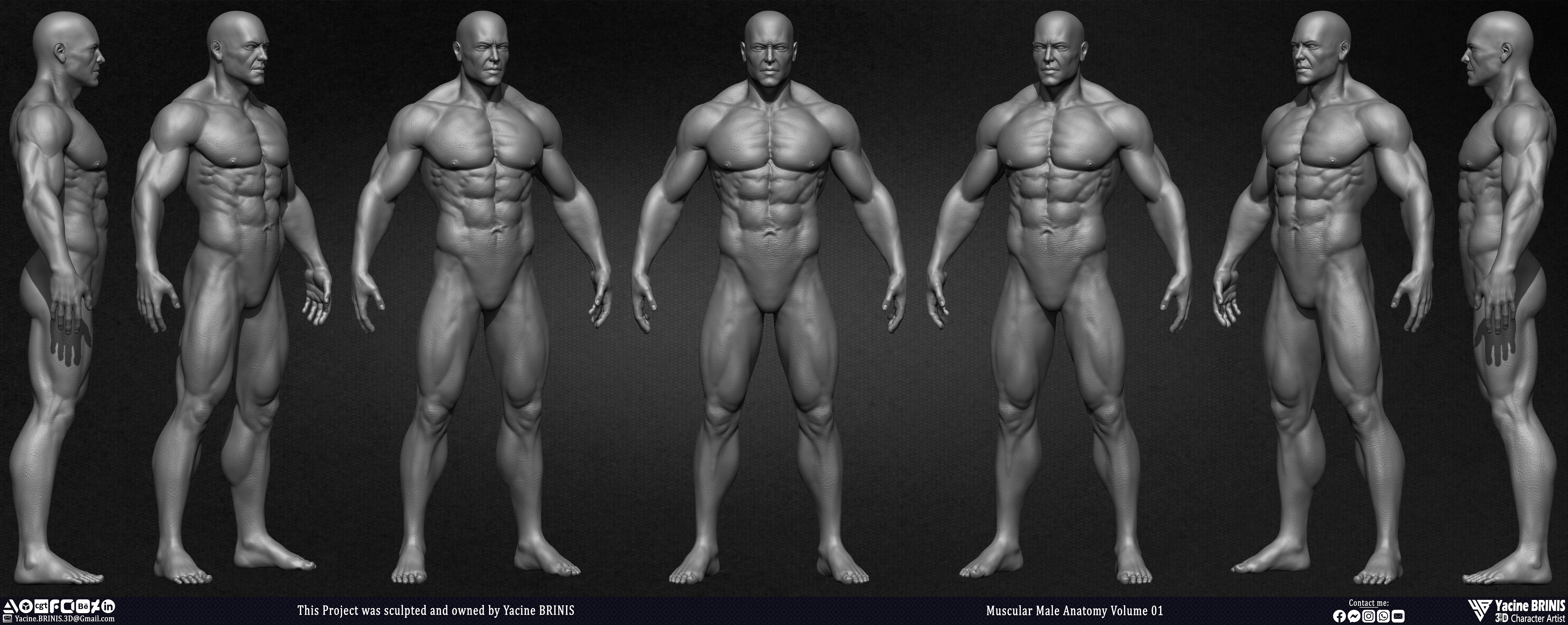 Muscular Male Anatomy 3D Character sculpted by Yacine BRINIS 001