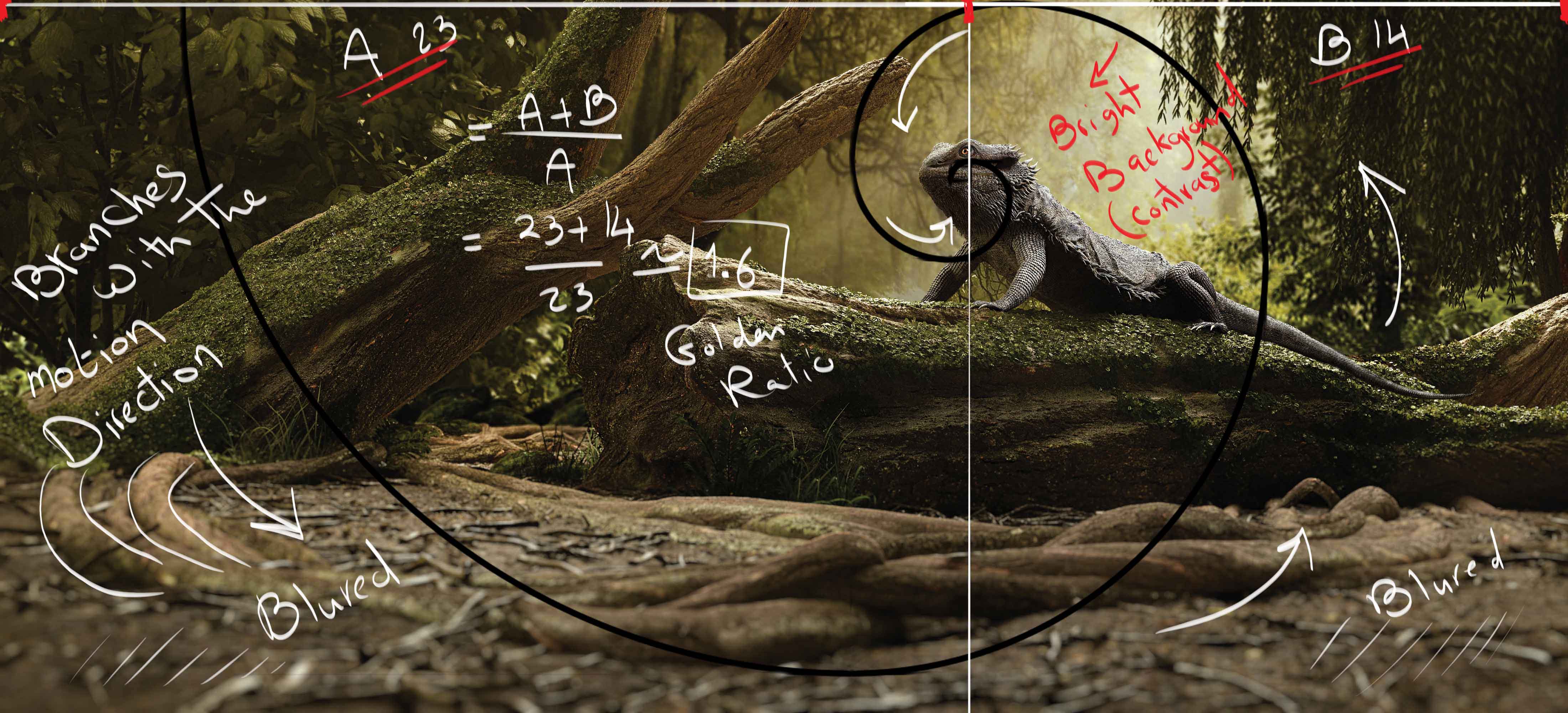 GoldenRatio.jpg