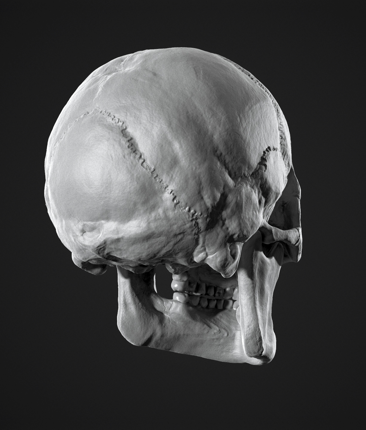 skull006.jpg