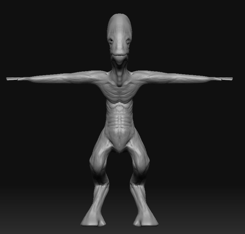 wip_body_front_1.jpg