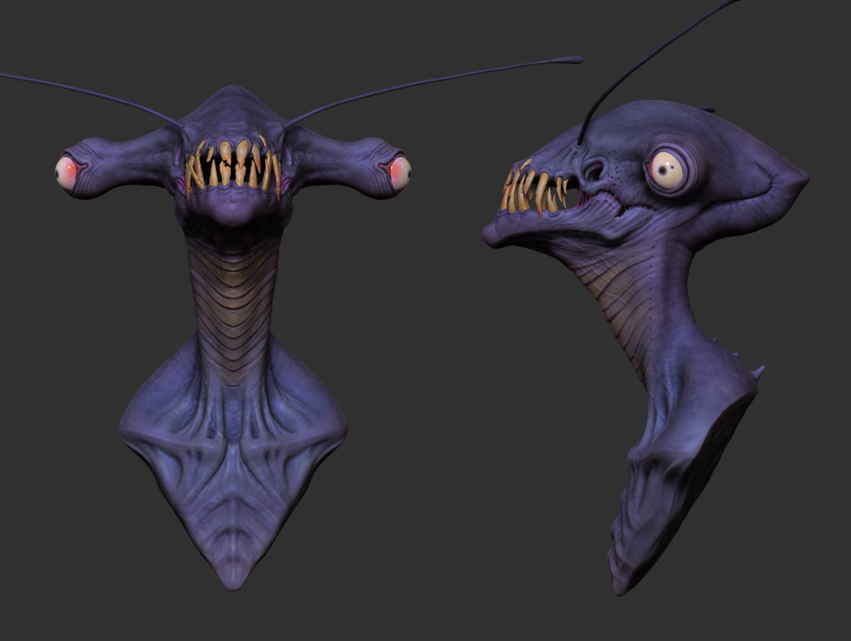 Color-Views-Mantis.jpg