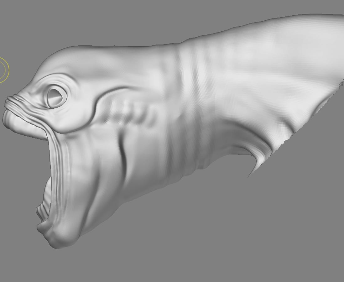 anatomyfin7.jpg