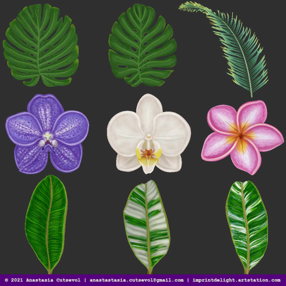 tiger_flowers_color
