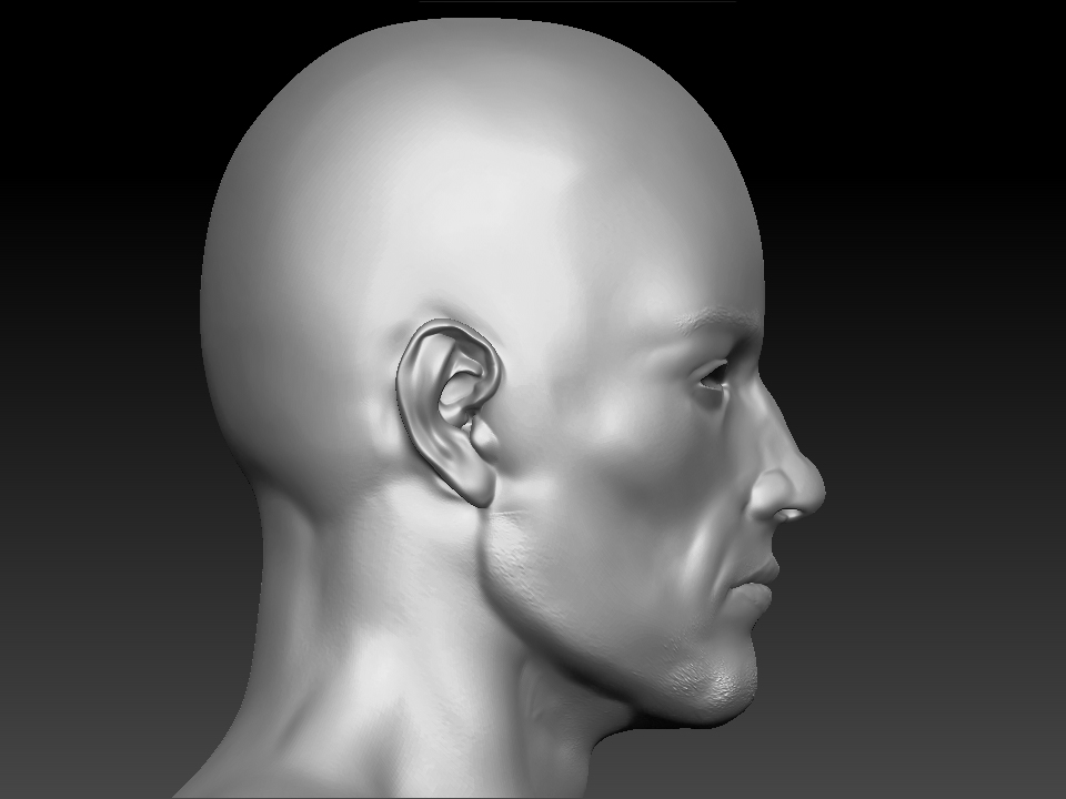 ZBrush Document1.jpg