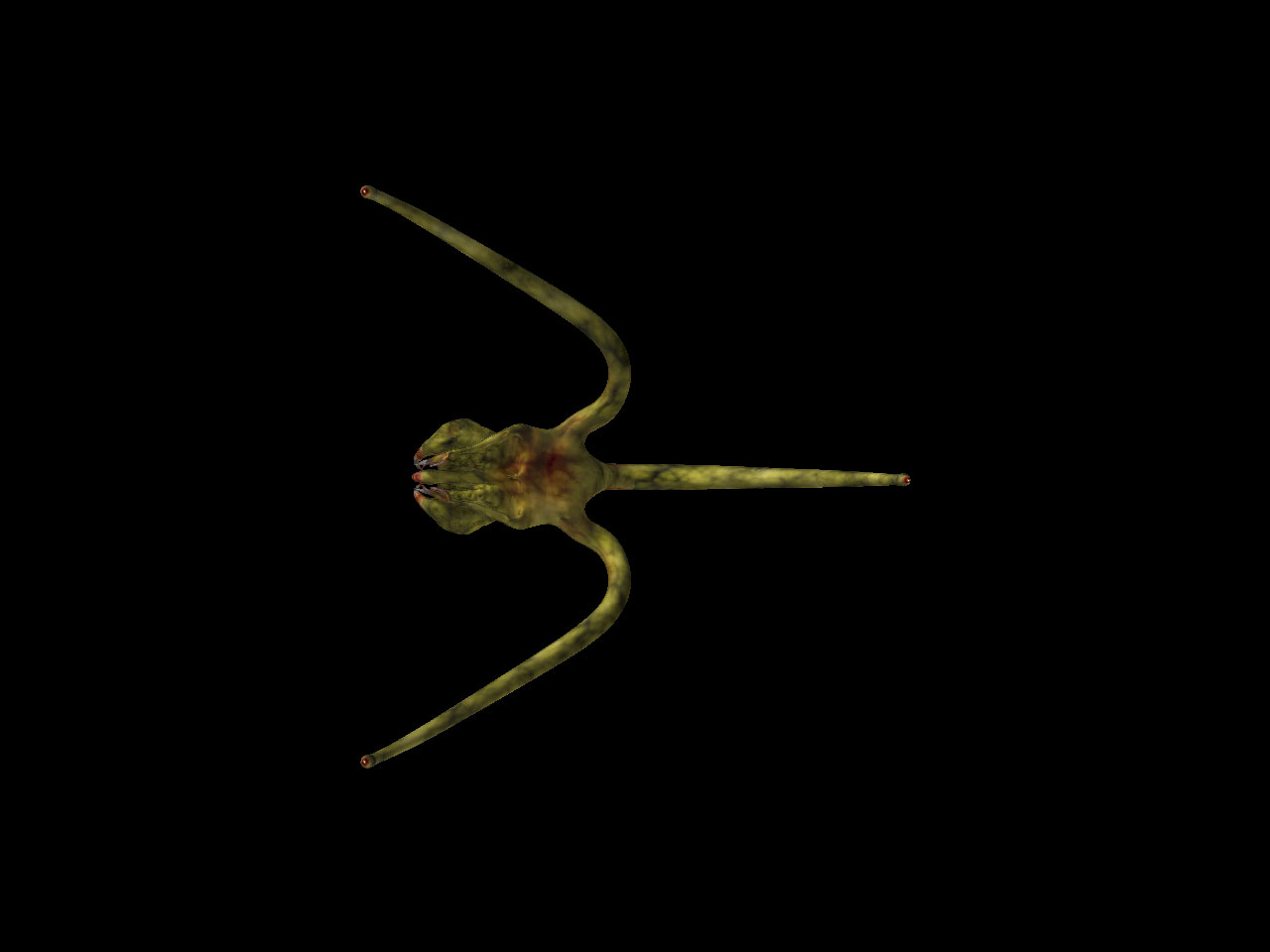 Spider-WIP-Bottom.jpg