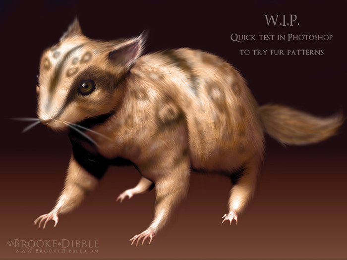 squirrellythingfurtest1 copybetterjpg copy.jpg