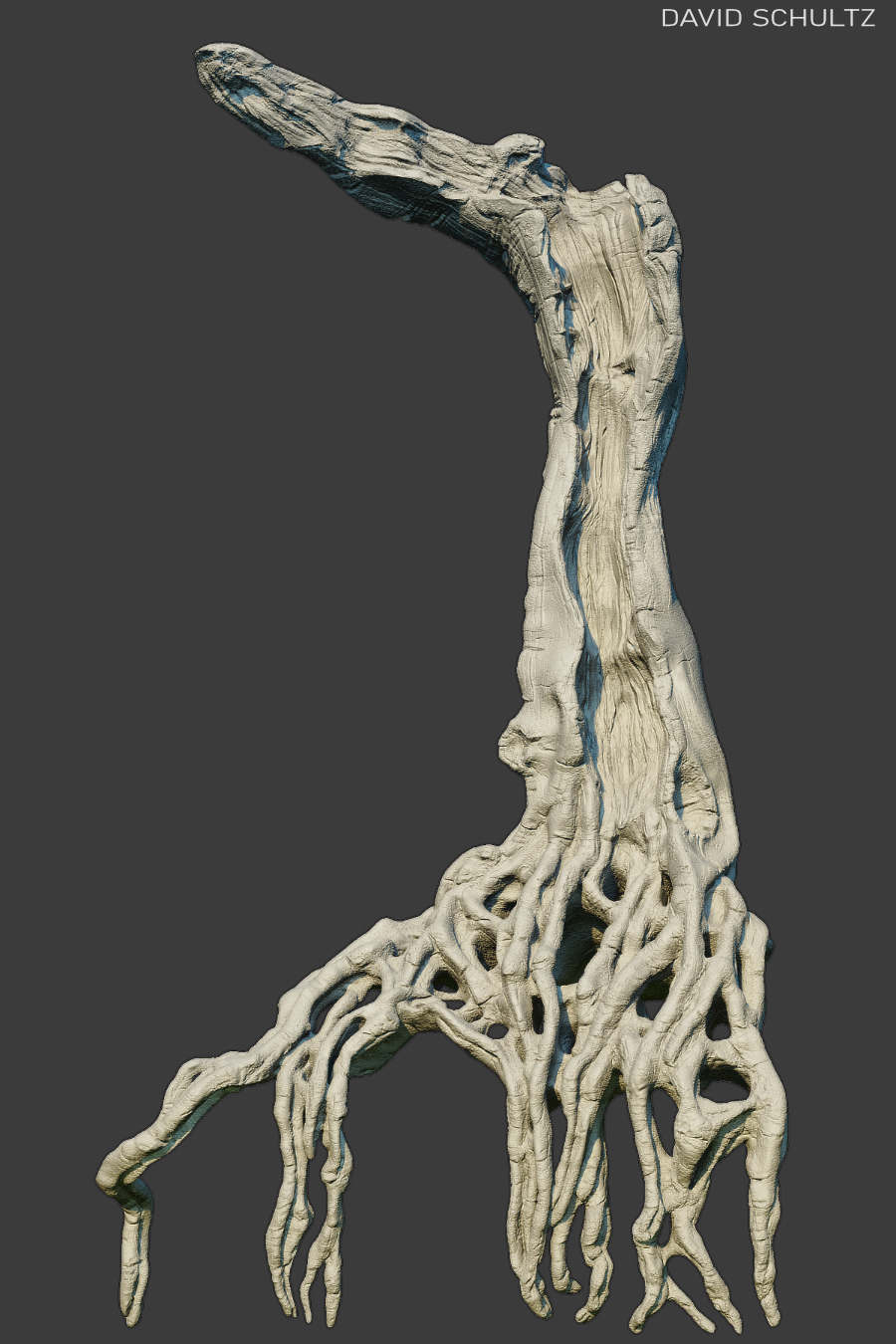 dschultz_tree.01