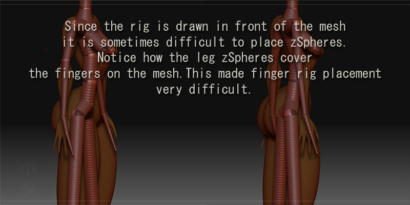 rig_OverlappingMesh.jpg