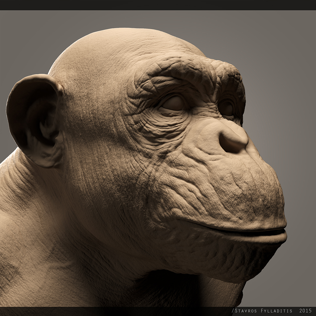 chimp_04.jpg