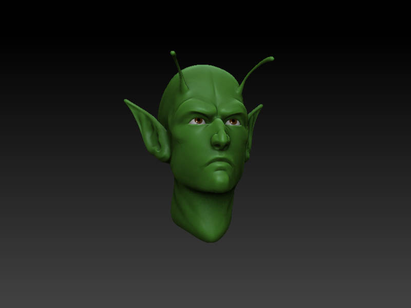 piccolo3.jpg