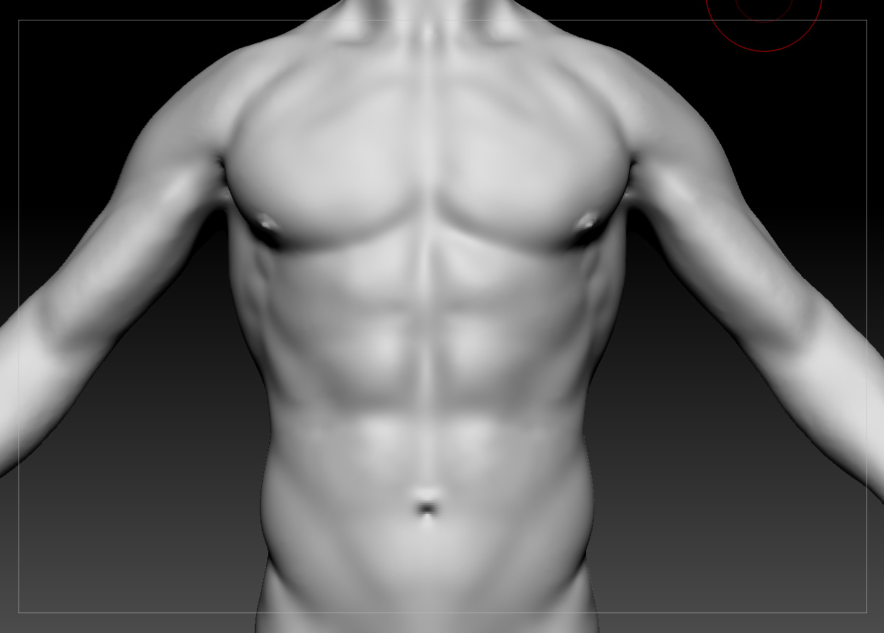 torso012.jpg