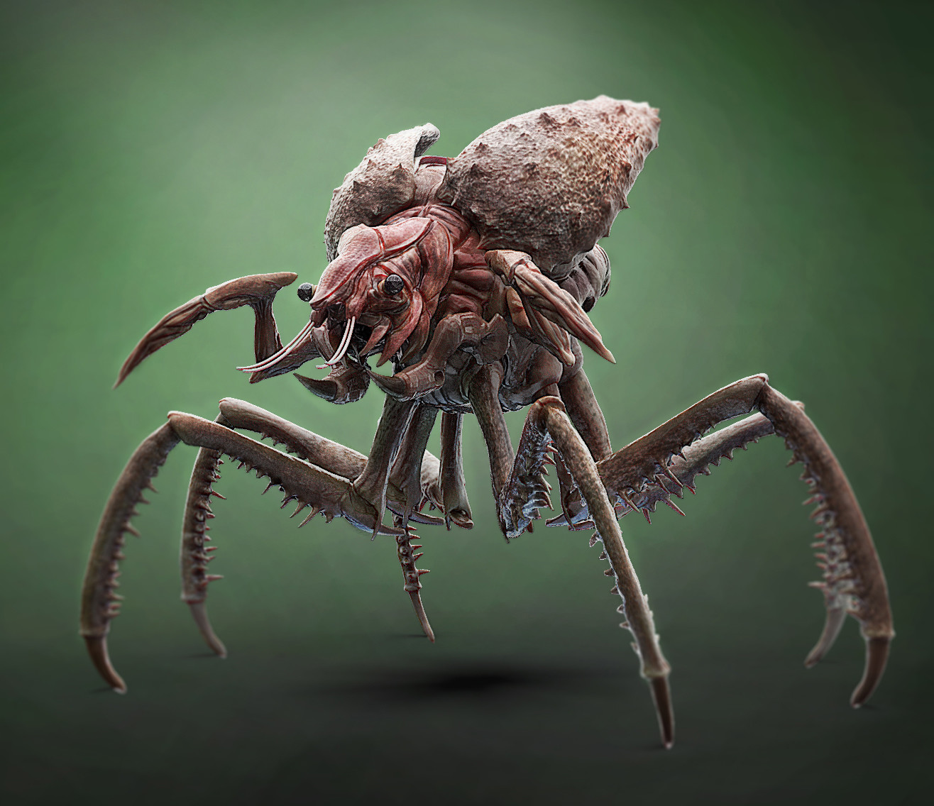 aazkhey-_-insect.jpg