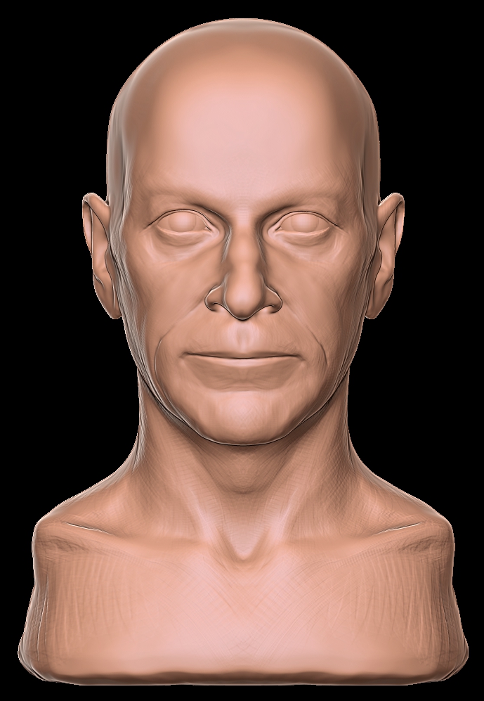 WIP001a.jpg