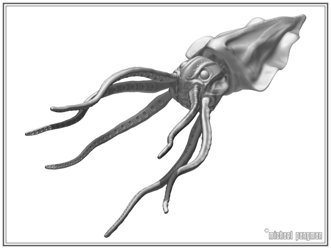 squid4.jpg