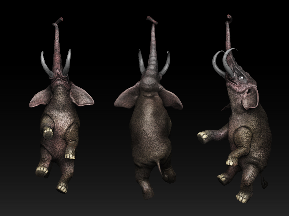 elefante_zb.jpg