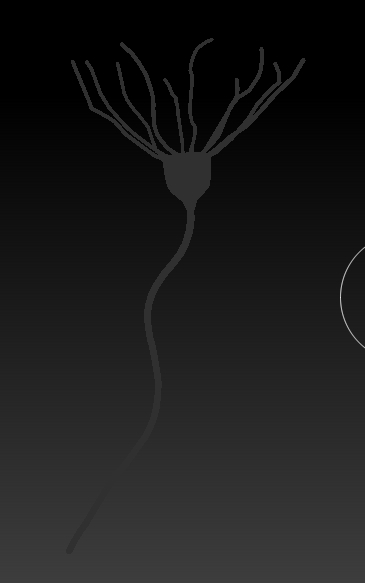 Adaptive Skin preview.jpg