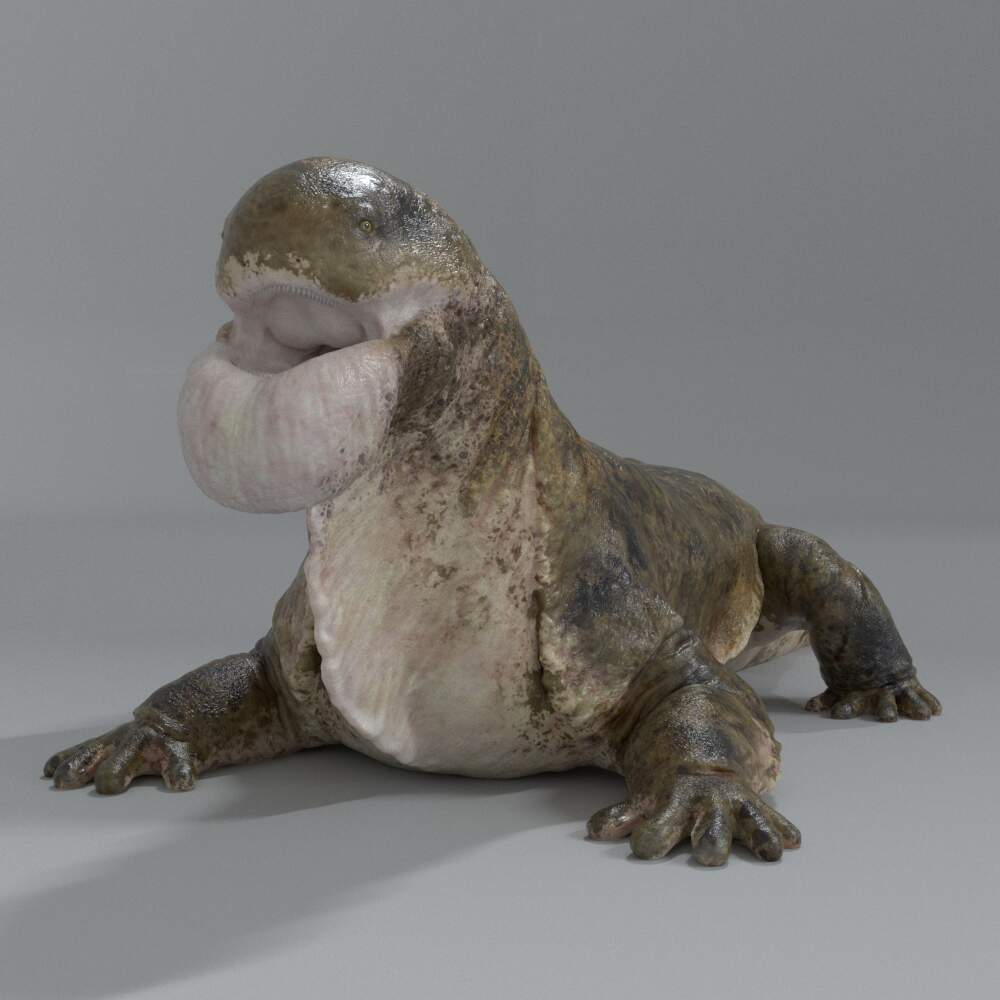 testRen_03