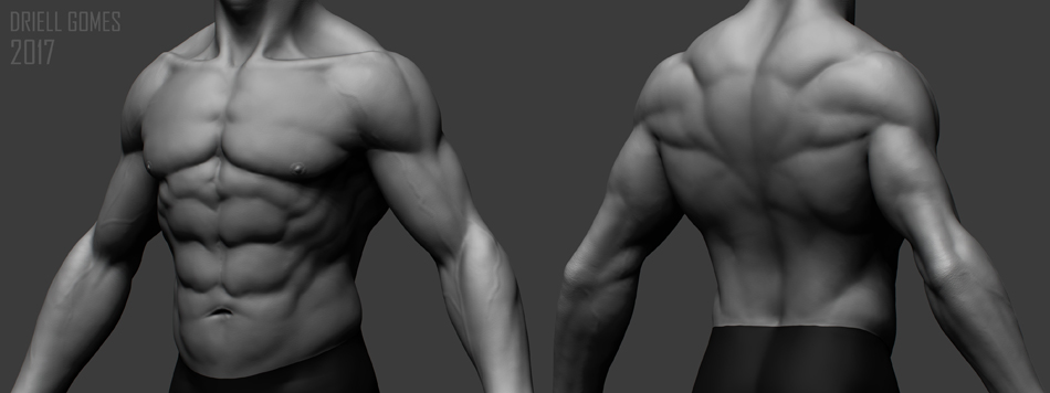 DS Body2.jpg