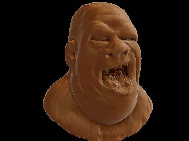 gravel_mouth_1.jpg