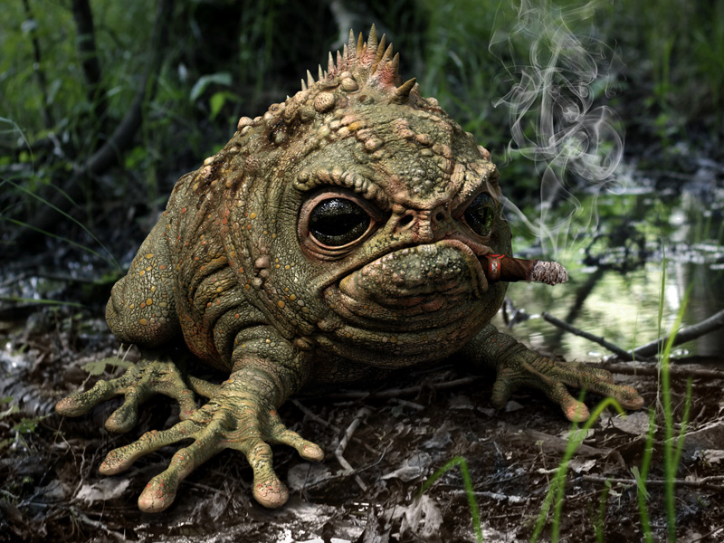 frog_D.19_small.jpg