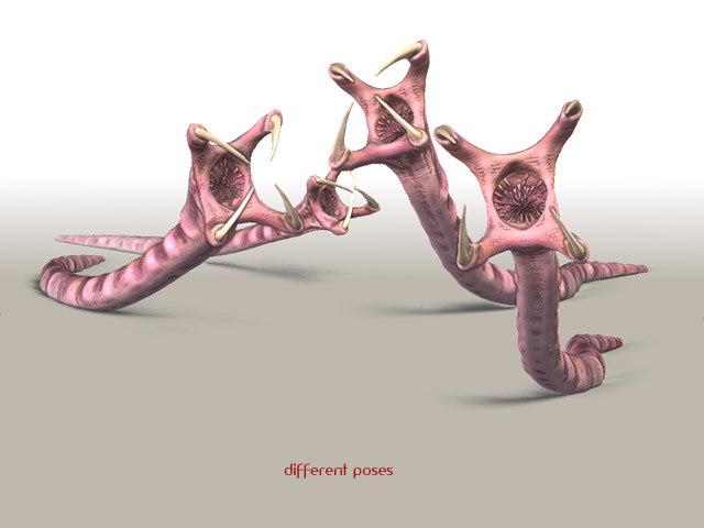 parasite_workflow3.jpg