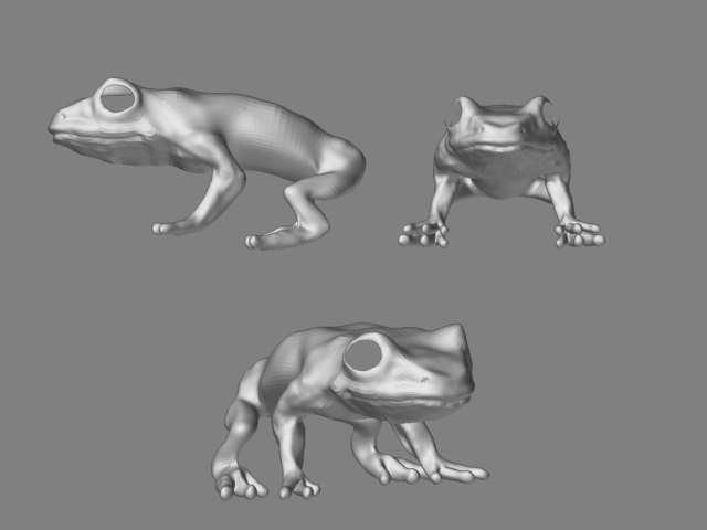 Frog-Med-Rez.jpg