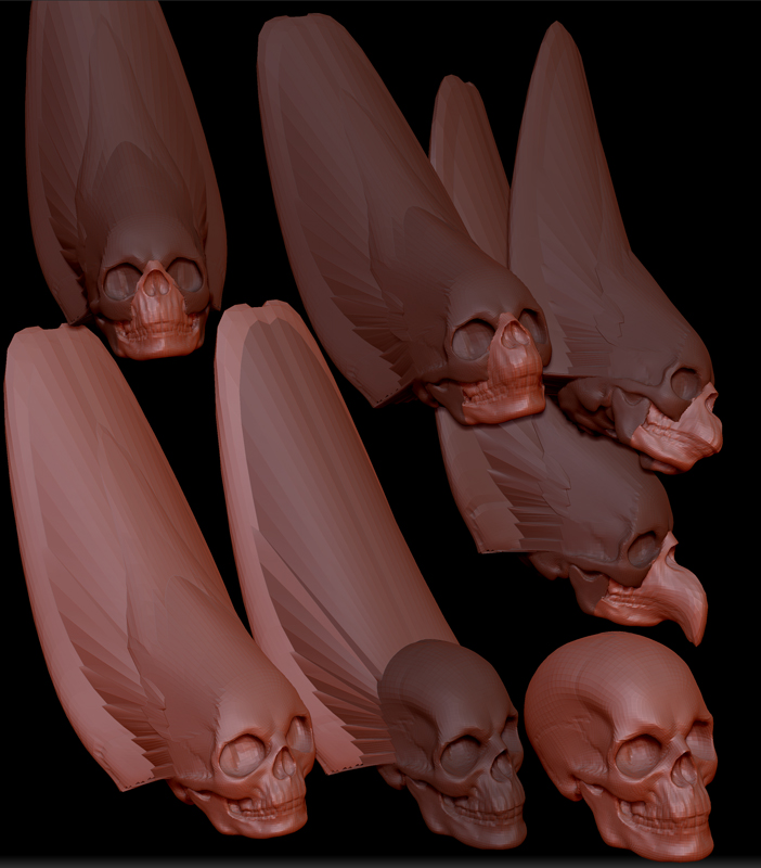 SKULL MORPHS 1.jpg