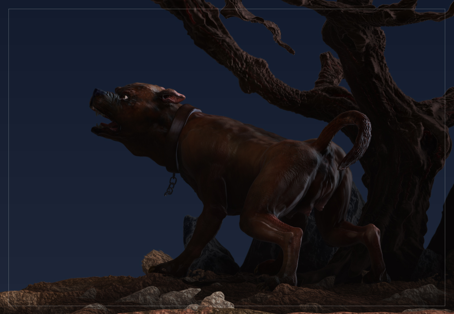 perro29_1.jpg