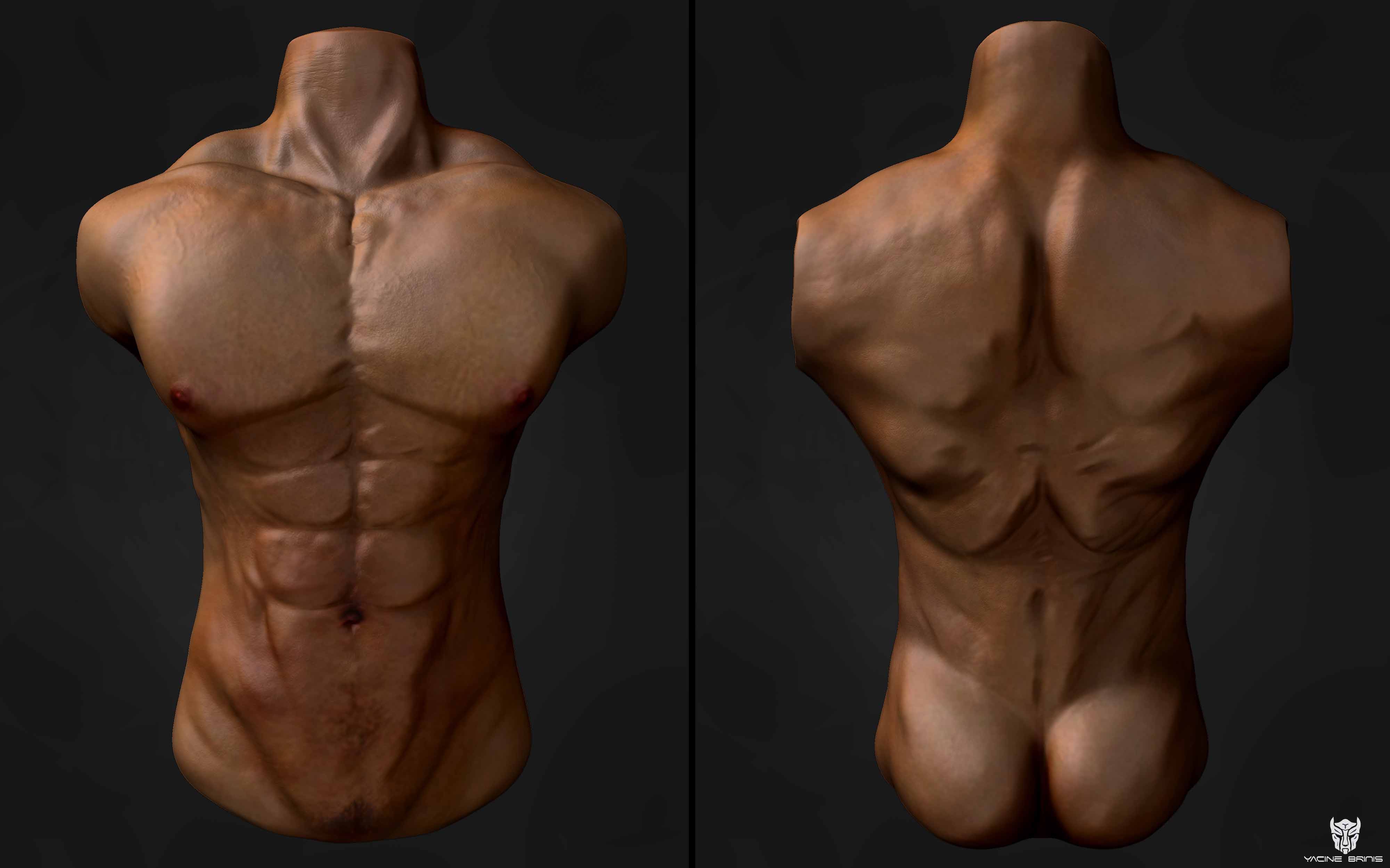 Final Render Renders View texturing Anatomy of a man By Yacine BRINIS.jpg