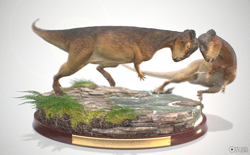 Stegoceras_render%20compo_jpg