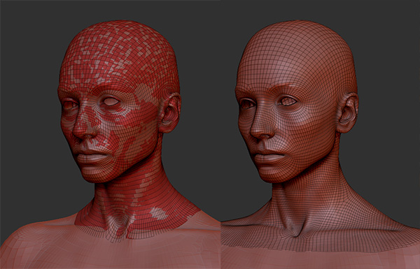 topology.jpg