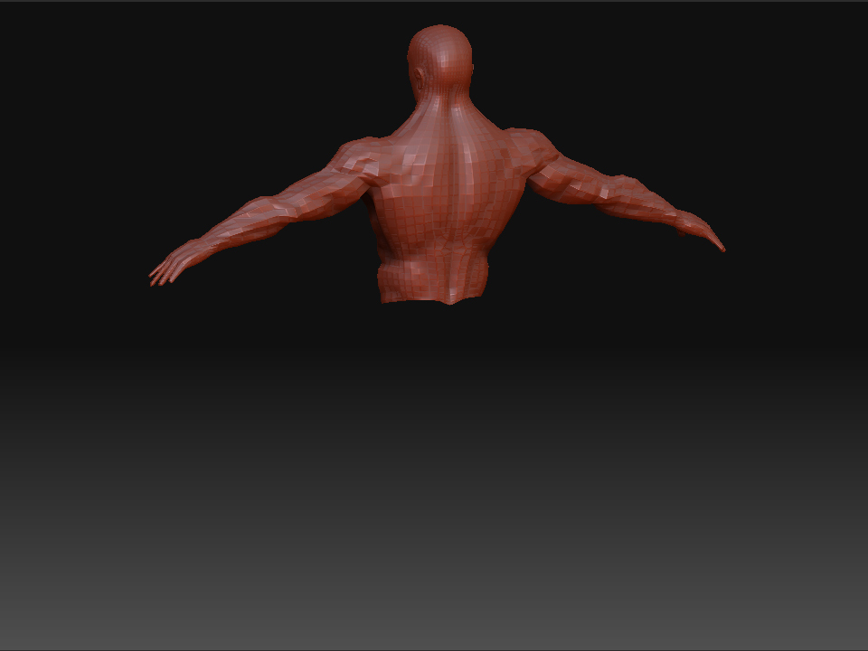 UpperbodyBacklevel1.jpg