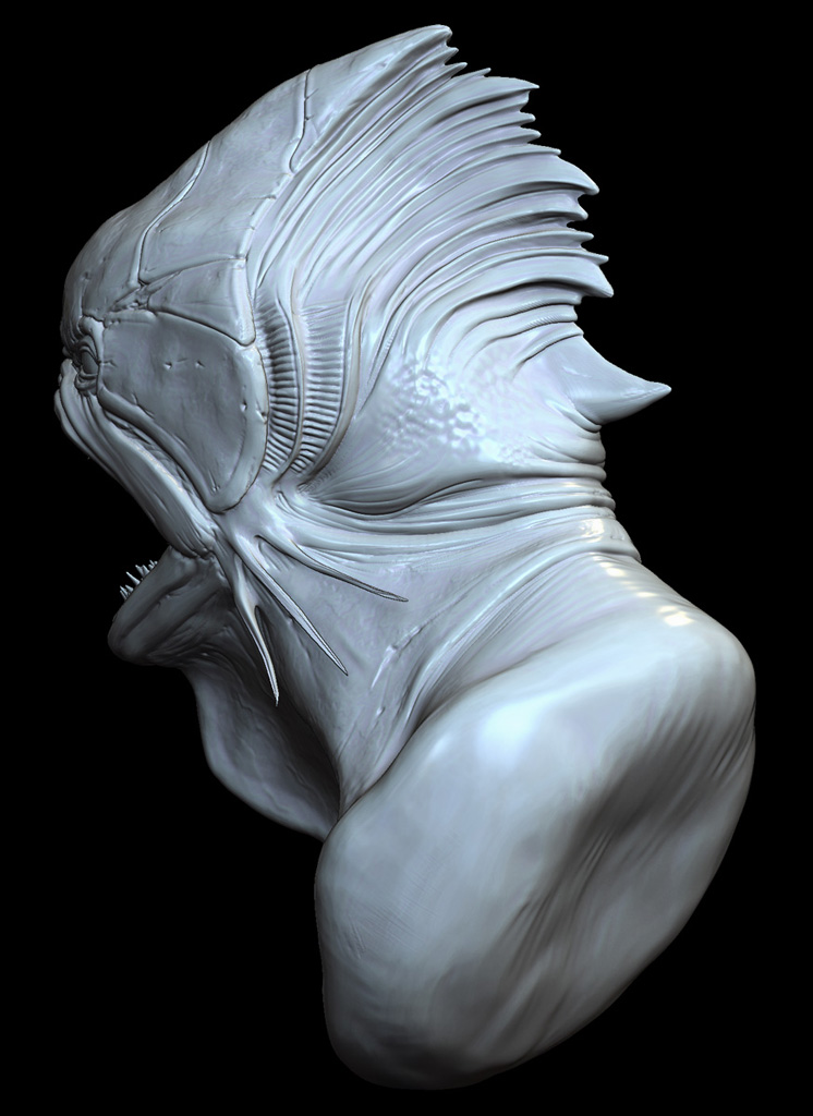 fishhead_back_web.jpg
