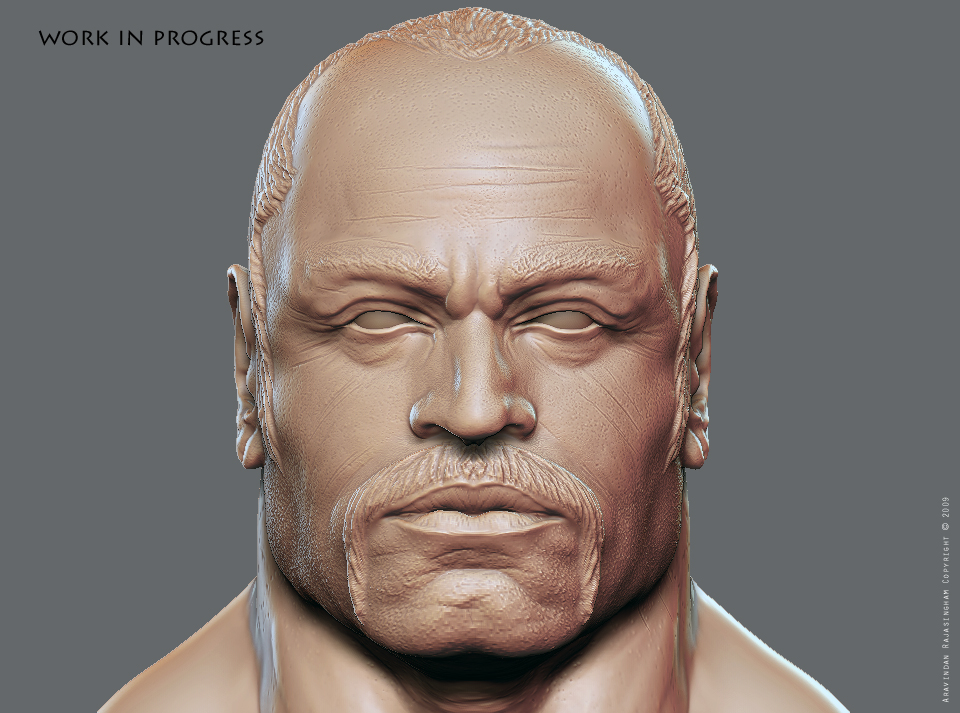 wip2_1.jpg