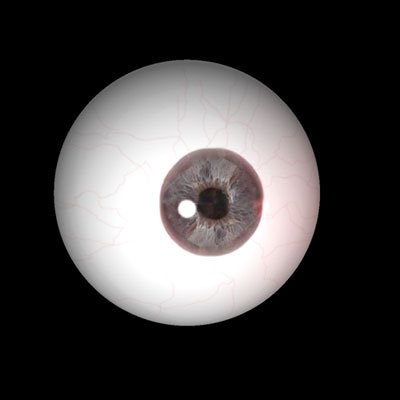 bluePurpleEyeRender-web.jpg