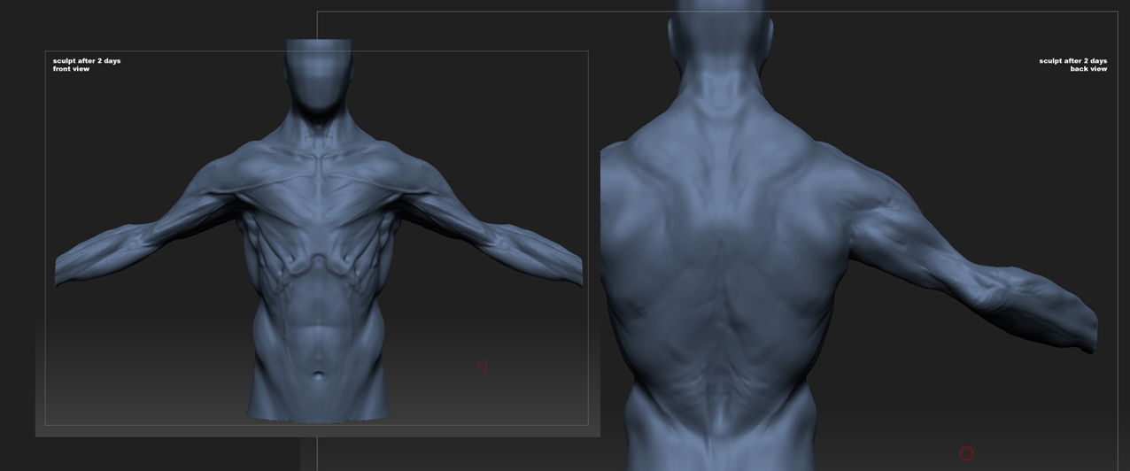 beesub_WIP_sB.jpg