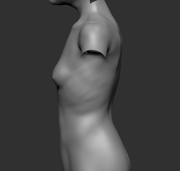TorsoSide.jpg