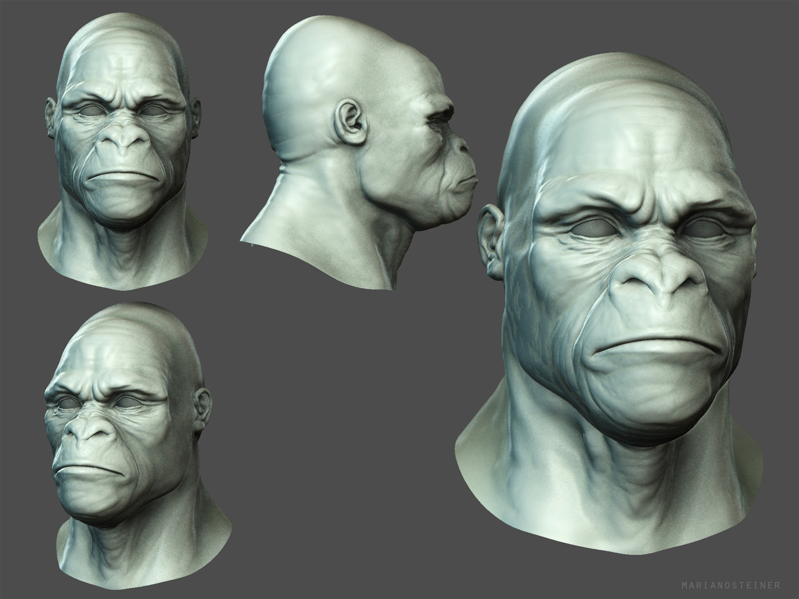 gorilla-head.jpg