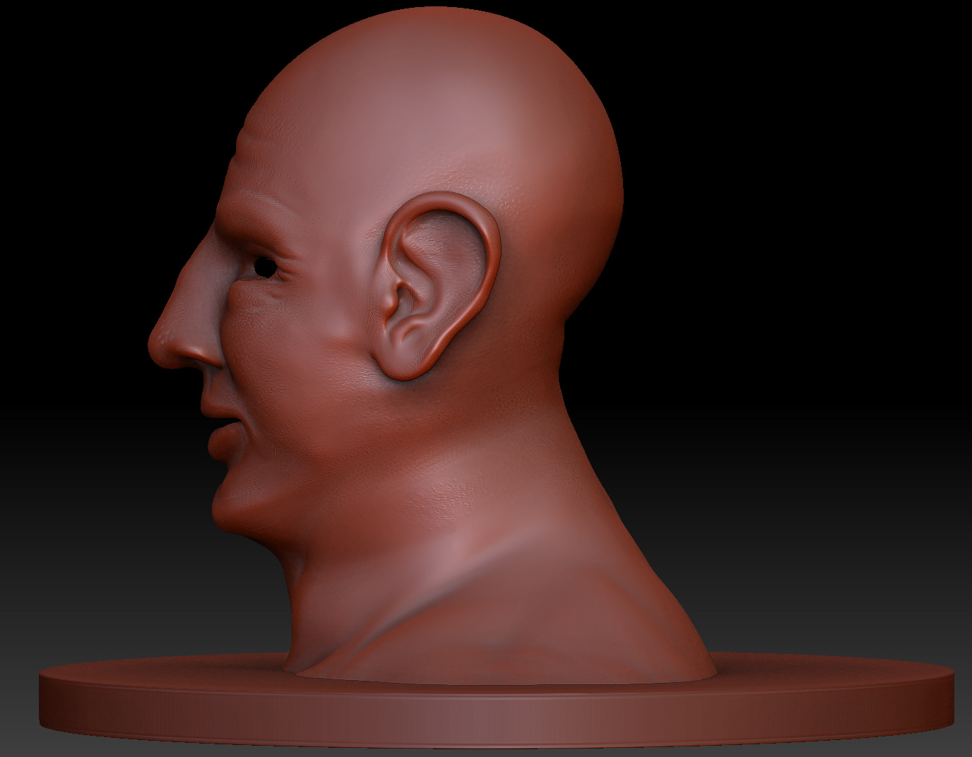 head skulpt 3 V2.jpg