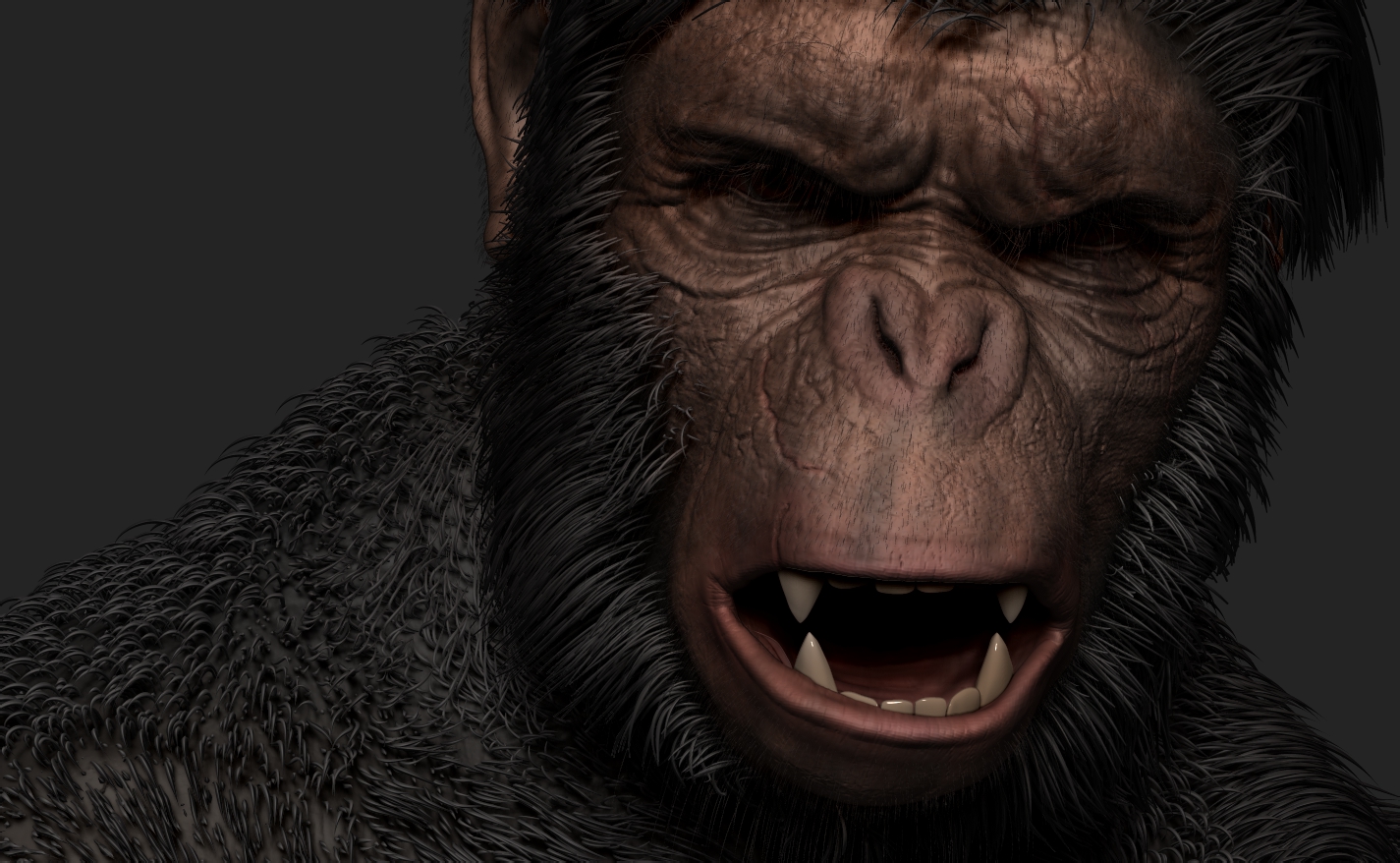 Ape_8.jpg