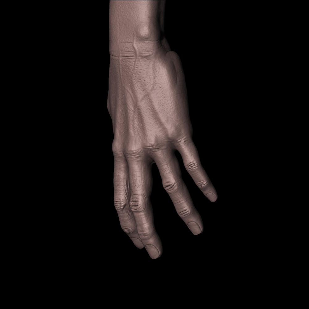 Hand_1.jpg